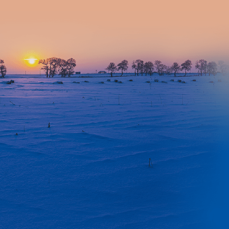 Lydiah Hue Github - Premium Vintage Design Gallery - HD