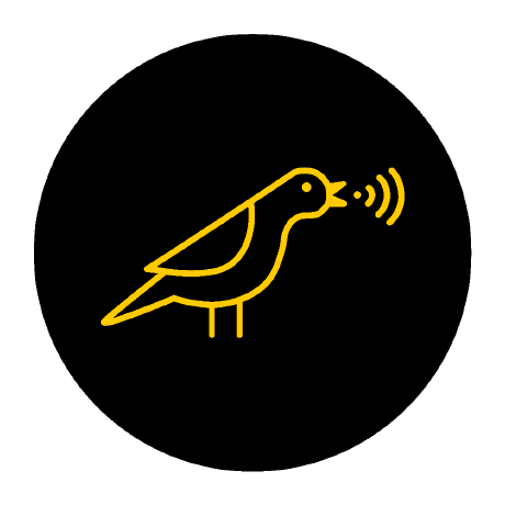 Canary Github - Dark Wallpaper Collection - Ultra HD Quality