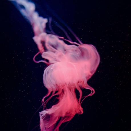 Github Faluhong Iadtc Framework - Download Artistic Minimal Picture | 4K