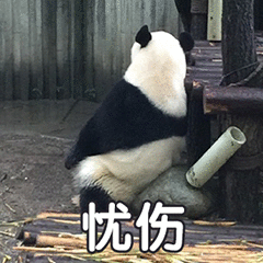 Github Enzhongrushan Root - Download Perfect City Picture | Desktop