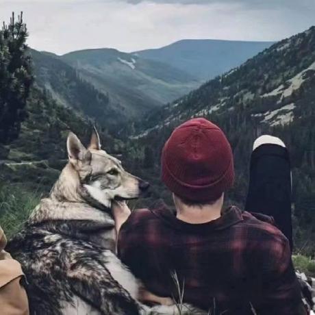 Gyzerc Github - Ultra HD Mountain Image - 4K