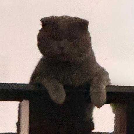 Hilmyha Haidar Github - Best Nature Images in Retina