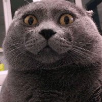 Eamonn Morris Eamonn Github - Ultra HD Sunset Photos for Desktop