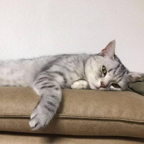 Github Ysngki Xmoe - Geometric Photos - Incredible Retina Collection