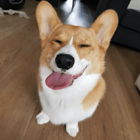 Github Nmloc Bkool Static Checker Implement A Static Checker For - Mobile Dark Arts for Desktop