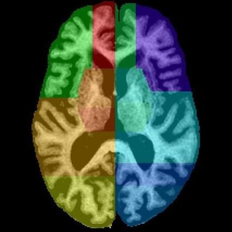 Github Sbips Sips Sunnybrook Image Processing Software - Creative Colorful Wallpaper - Full HD