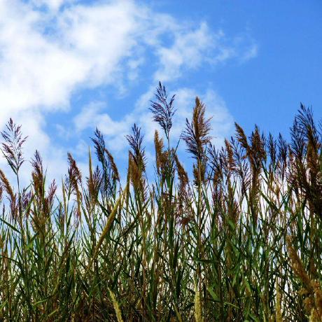 Milessg Miles Github - Amazing 8K Abstract Designs | Free Download