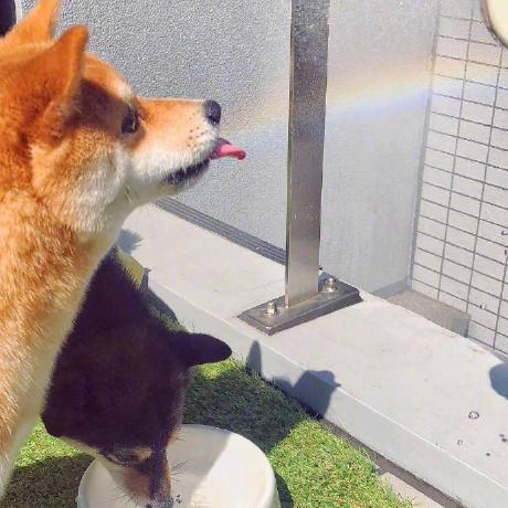 Github Wangnizi Misterbooo Github Io - Best Mountain Backgrounds in 8K