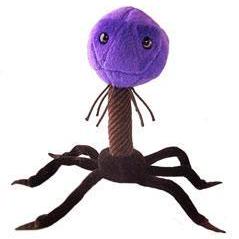 Deepphage Github - Desktop Landscape Illustrations for Desktop