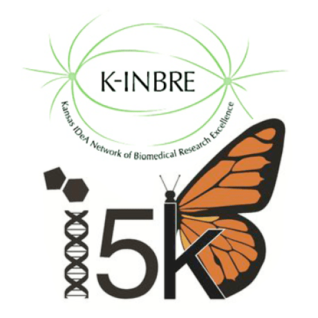 Github I5k Kinbre Script Share Rna Seq Annotation And Comparison - 4K Abstract Wallpapers for Desktop
