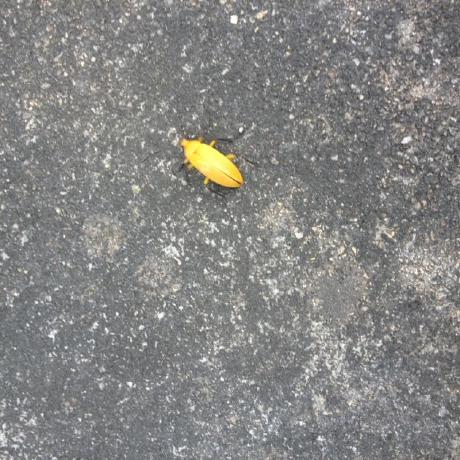 Keylin Ingenio Github - Modern HD Minimal Images | Free Download