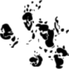 GitHub - Pyproj4/pyproj: Python Interface To PROJ (cartographic Projections And Coordinate ...