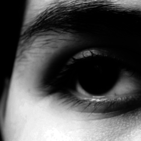 Panayotov Github - Modern Desktop Gradient Designs | Free Download