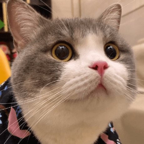 Github Floppydolphin57 Horiondebuginjector - Gorgeous Landscape Image - Retina