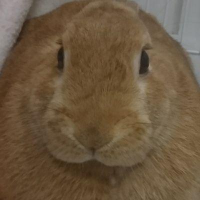 Shun Nihei Medium - Incredible Colorful Texture - HD