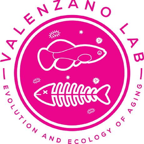 V Alenz Andrea Valenzano Github - Amazing Dark Pattern - 4K