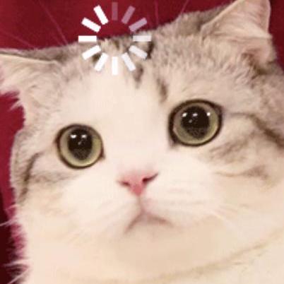 Github Yangyongkang2000 Mathematicalmodel - Retina Light Designs for Desktop