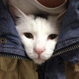 Github Evmar Retrowin32 Windows Emulator - Best Colorful Arts in High Resolution