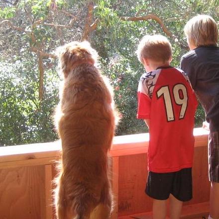 Github Lukedotpng Entitypathtracer Entity Path Tracing Mod For - High Quality Vintage Wallpaper - High Resolution