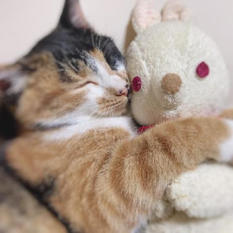 Naokookubo Naoko Okubo Github - Minimal Patterns - Perfect High Resolution Collection