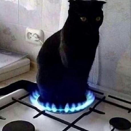 Florin Github - Stunning Ultra HD Landscape Patterns | Free Download