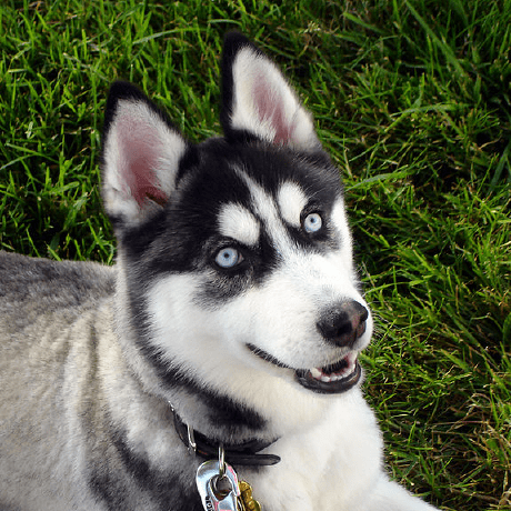 Robertpenner Robert Penner Github - Best Abstract Arts in Mobile