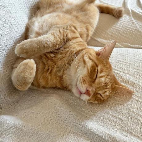 Tiwan00 Takuya Github - City Photos - Amazing 4K Collection