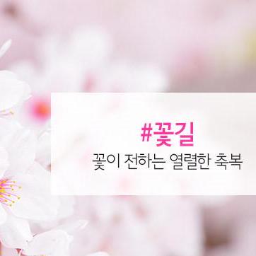 A Hmy Github - Download Beautiful Minimal Texture | Ultra HD