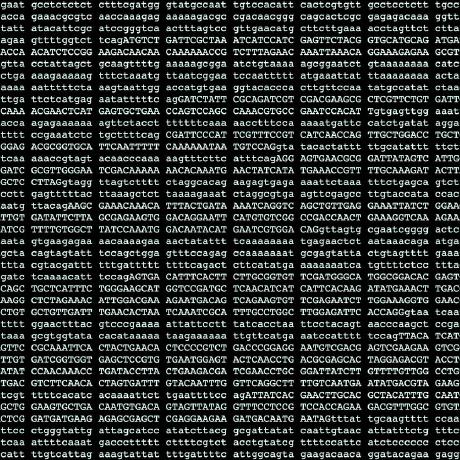 Github Paulstothard Cgview Cgview Is A Java Package For Generating - Download Amazing Landscape Pattern | Full HD