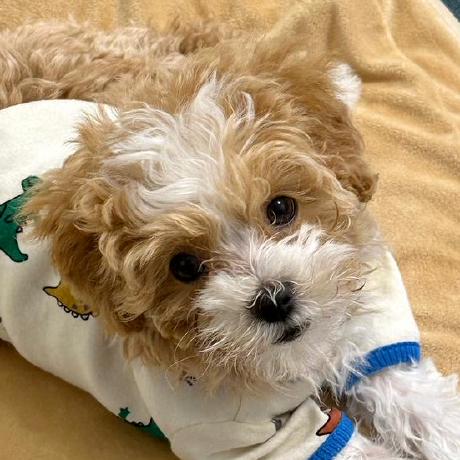 Rhkrwngud445 Covy Github - Mountain Backgrounds - High Quality HD Collection