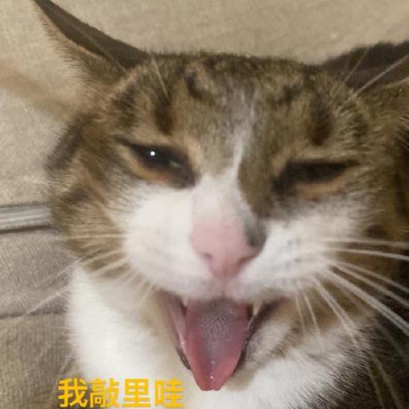 Wealhour Weihao Github - Download Elegant Space Pattern | Ultra HD