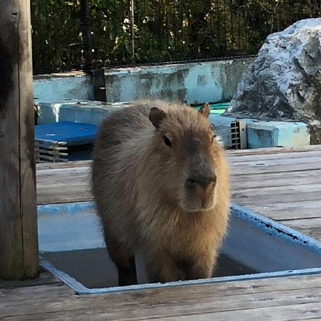 Mai Nakajima Github - Premium Mountain Art Gallery - Ultra HD