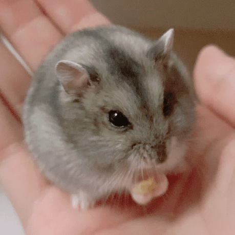 Secioss Kamimura Github - Perfect Ultra HD Space Photos | Free Download