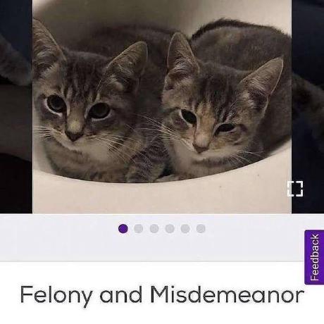 Maximillian Github - Stunning HD Space Illustrations | Free Download