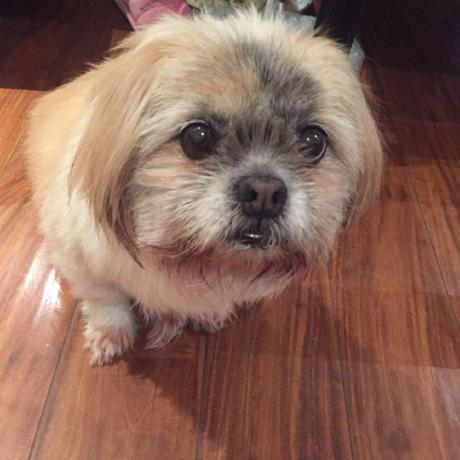 Fantastic Fanfan Github - Best Minimal Photos in Mobile