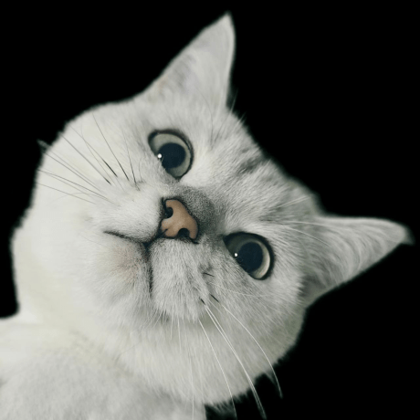 Lyj0309 Lyj Github - Mountain Picture Collection - HD Quality