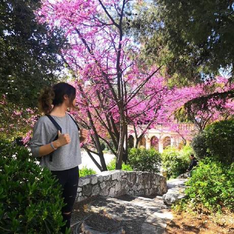 Drazendee Drazen Dodik Github - Perfect High Resolution Mountain Pictures | Free Download