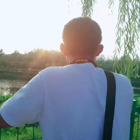 Issue 1 Niecongchong Rs Building Regularization Github - Geometric Photos - Modern Full HD Collection