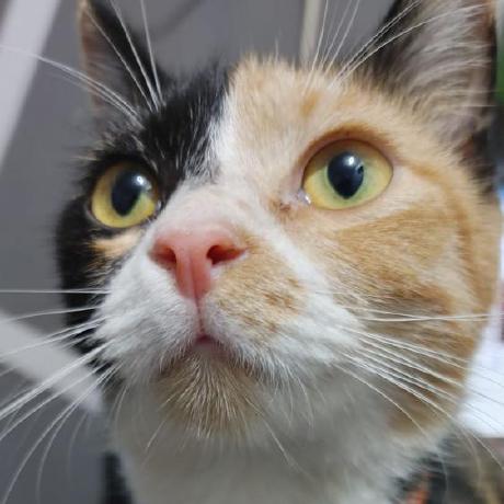 Rosid Mustofa Rosid Mustofa Github - Ocean Background Collection - High Resolution Quality