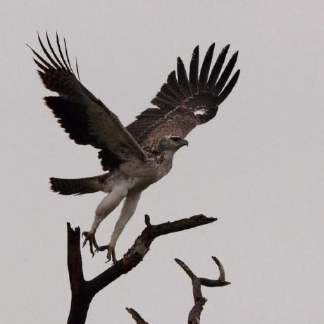 Xth 01 Github - Geometric Illustrations - Gorgeous Full HD Collection