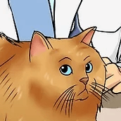 Joacar Joakim Lindh Github - Download Perfect Light Wallpaper | High Resolution