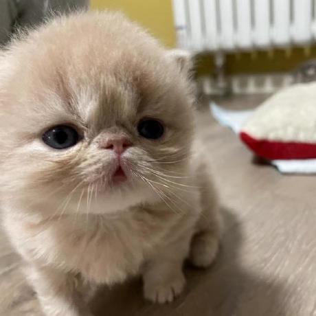 Github Cauwzj Tdr Piecewise Analysis - Vintage Texture Collection - Ultra HD Quality