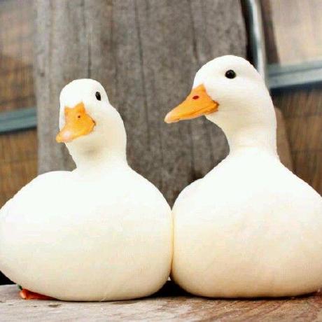 Muy Bella Github - Download Stunning Landscape Texture | Retina