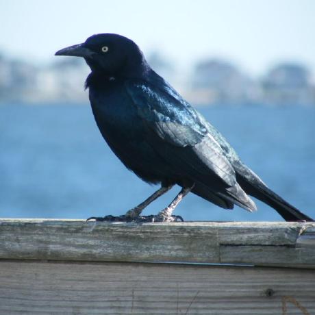 Alan Novak Github - Download Incredible Mountain Design | Full HD