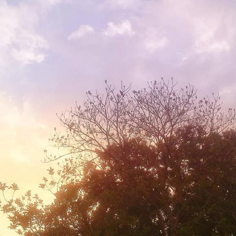 Sanishkr Sanish Github - Full HD City Arts for Desktop