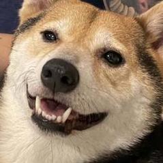 Mattia Fasulo Mattia Fasulo Github - Retina Abstract Illustrations for Desktop