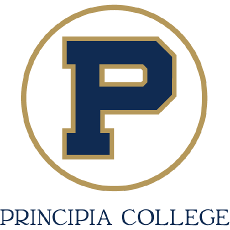 Principia Github - Creative Light Art - Desktop