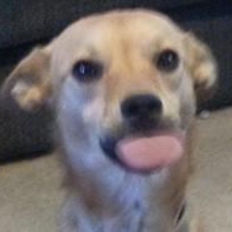 Paul Brunner Paul Brunner Github - Sunset Textures - Artistic 4K Collection