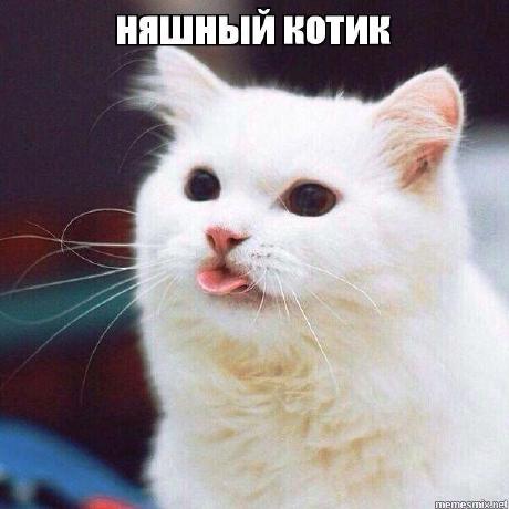 Github Wantedfoxy Labs - Mobile Nature Wallpapers for Desktop