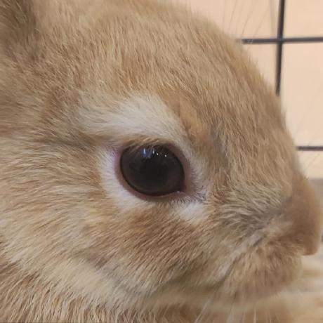 Zeki Tekin Github - Mountain Pictures - Gorgeous Ultra HD Collection